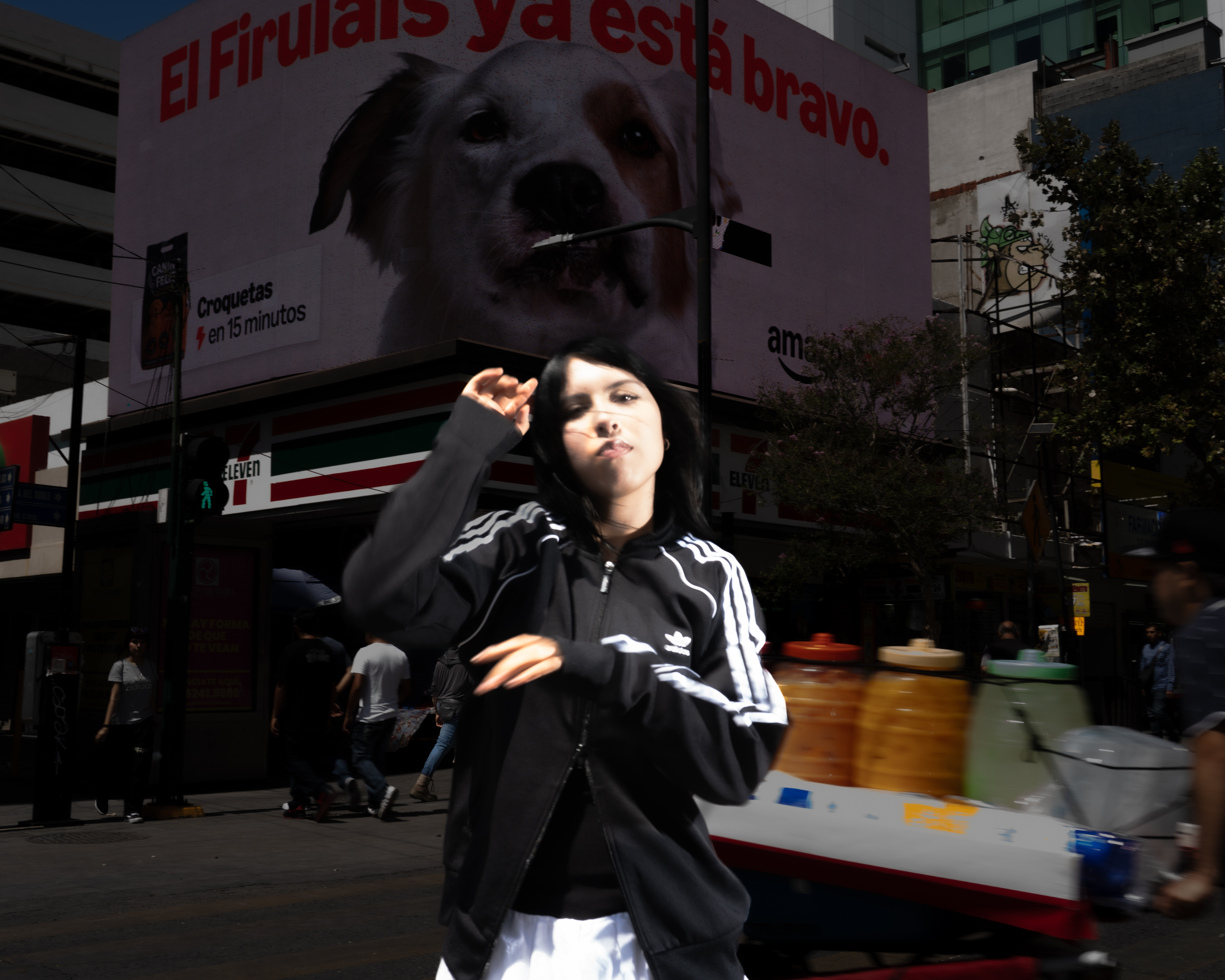 Fotografía 8